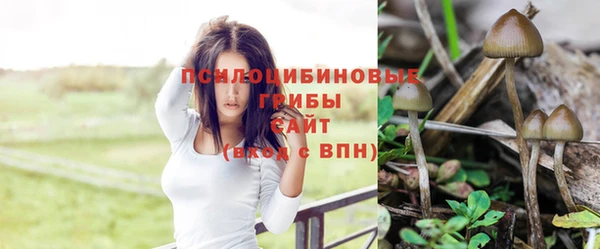 ГАЛЛЮЦИНОГЕННЫЕ ГРИБЫ Сосновоборск