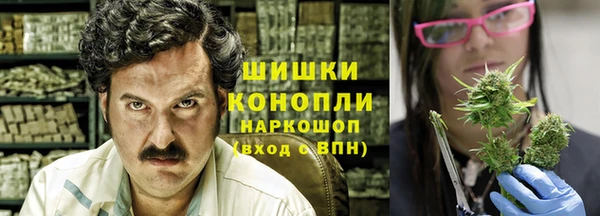 шишки Сосновка